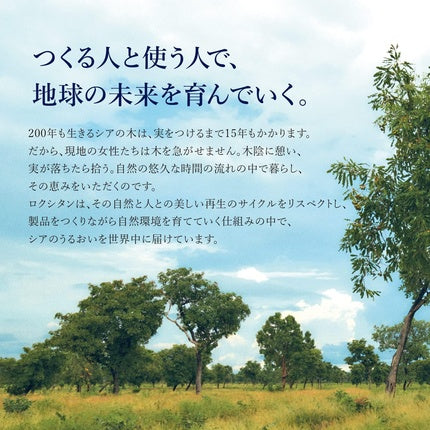 L'OCCITANE Shea Butter Ultra Rich Lip Balm 12ml Enriched with 10% Shea Butter 99% Natural Origin Ingredients Luxury & Clean Beauty Lip Care for All Skin Types