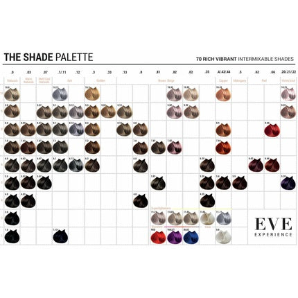 165 Piece EVE EXPERIENCE Color Professional Hair Color Set for Hairdressers