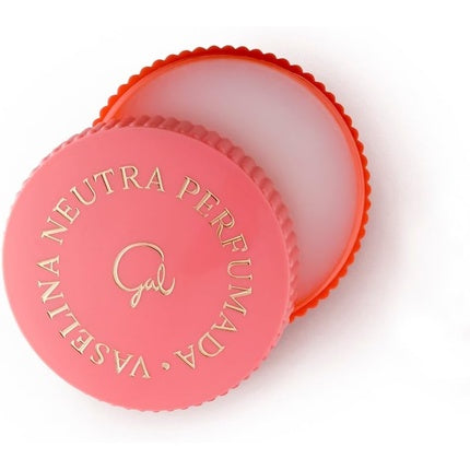 GAL Perfumed Vaseline Lip Balm 40ml