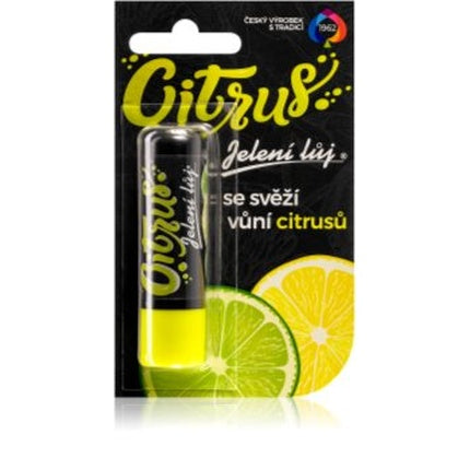 Regina Citrus Lip Balm 4 G - Nourishing And Refreshing Lip Care