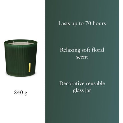 Rituals Scented Candle from The Ritual of Jing with Lotus Flower and Jujube