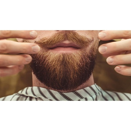 Hairgum Barber Mandarin Cedar Beard Oil 40ml