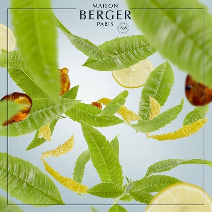Maison Berger Paris Lemon Verbena Room Fragrance, Plastic, Clear, 400ml