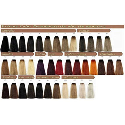 Exitenn Permanent Color 60ml Color 477