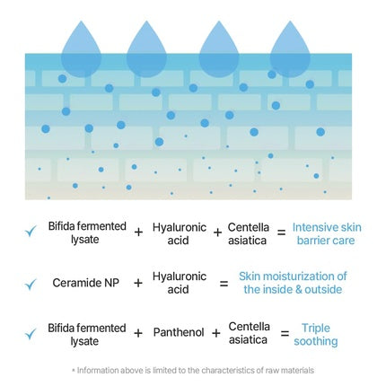 Mixsoon Master Deep Barrier Mask