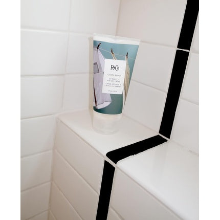 R+Co Cool Wind pH Perfect Air Dry Crème 5 Ounce