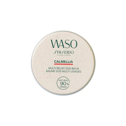 Shiseido Eye Contour Ideal for Women