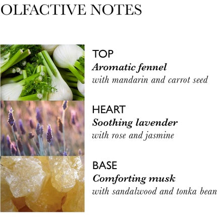 Molton Brown Repairing Conditioner with Fennel 300ml