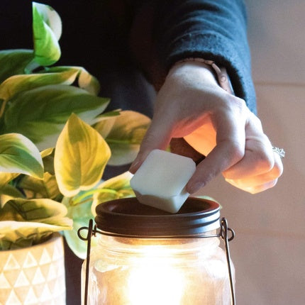 Milkhouse Candle Company Pink Guava Creamery Collection Soy Wax Fragrance