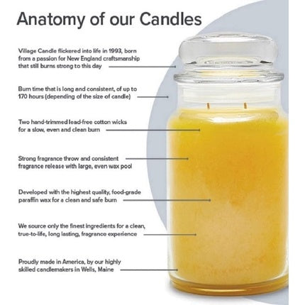 Village Candle Fairy Dust Large Glass Apothecary Jar Scented Candle 21.25 oz Purple