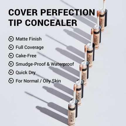 The Saem Color Perfection Tip Concealer Clear Beige